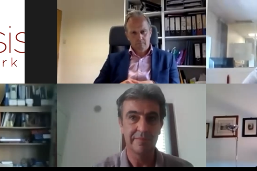 Seeding’s second transnational online workshop