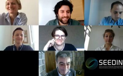 Seeding’s first transnational online workshop