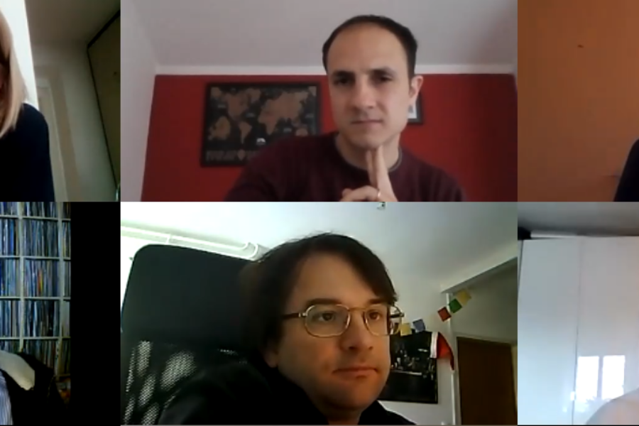 Seeding’s fourth transnational online workshop