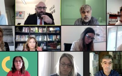 Seeding’s sixth transnational online workshop